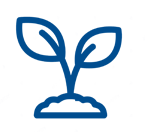 jardineria